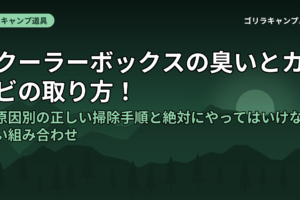 クーラーボックスの臭いとカビの取り方！原因別の正しい掃除手順と絶対にやってはいけない組み合わせ