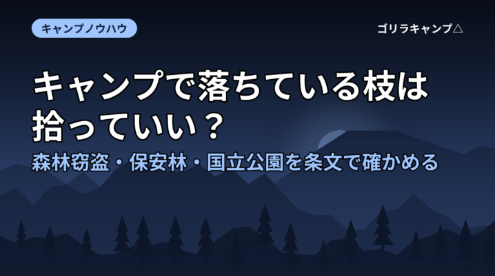 キャンプで落ちている枝は拾っていい？｜森林窃盗・保安林・国立公園を条文で確かめる