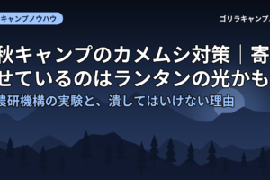 秋キャンプのカメムシ対策｜寄せているのはランタンの光かも？