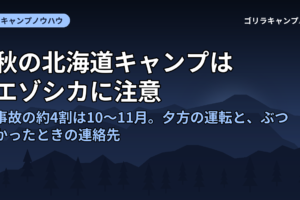 秋の北海道キャンプはエゾシカに注意｜事故の約4割は10〜11月。夕方の運転と、ぶつかったときの連絡先