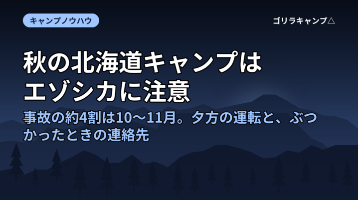 秋の北海道キャンプはエゾシカに注意｜事故の約4割は10〜11月。夕方の運転と、ぶつかったときの連絡先